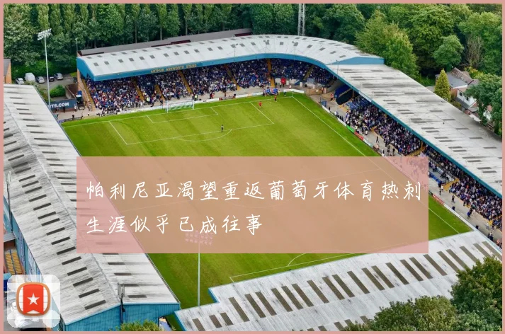 帕利尼亚渴望重返葡萄牙体育热刺生涯似乎已成往事